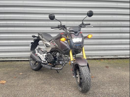 photo-annonce-honda-msx-125_693bdcaa4ac24388532566.jpeg
